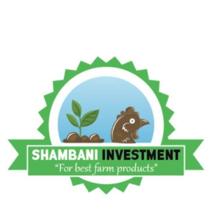 SHAMBANI Logo